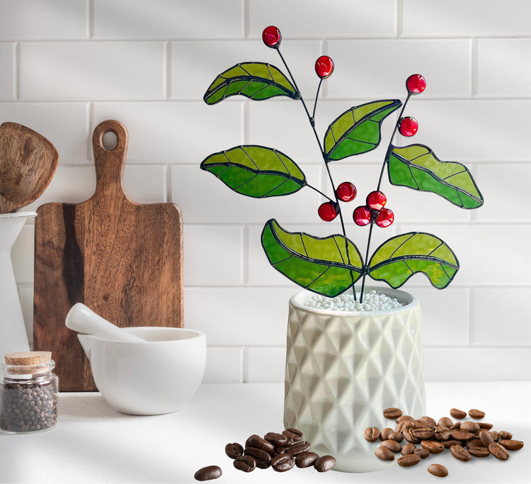 Other Botanicals