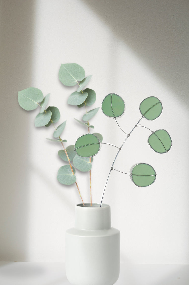 Eucalyptus