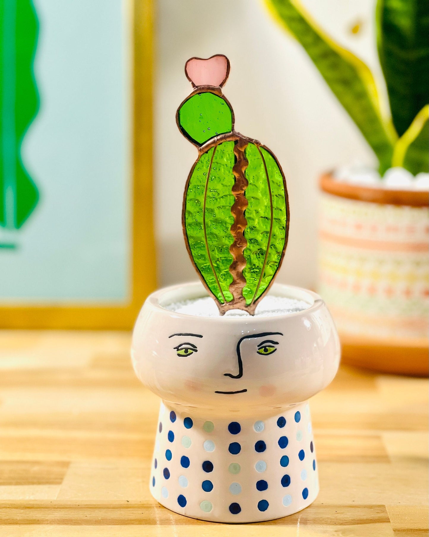 Baby Moon Glass Cactus
