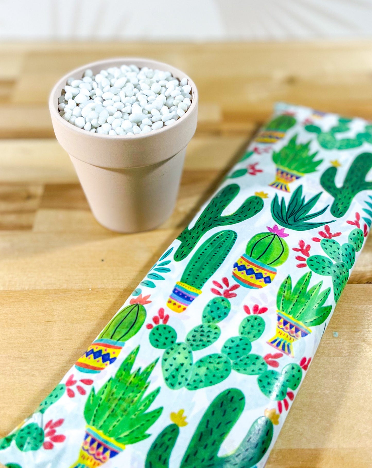 Baby Moon Glass Cactus