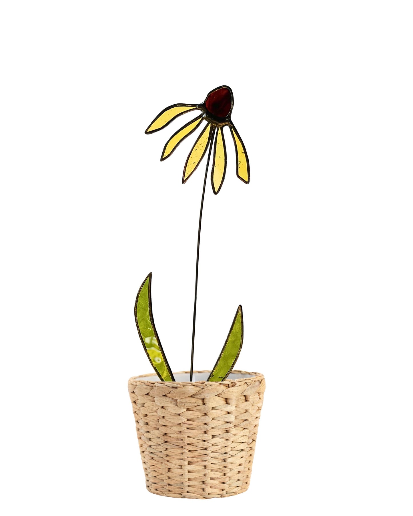 Black Eyed Susan Glass Stem