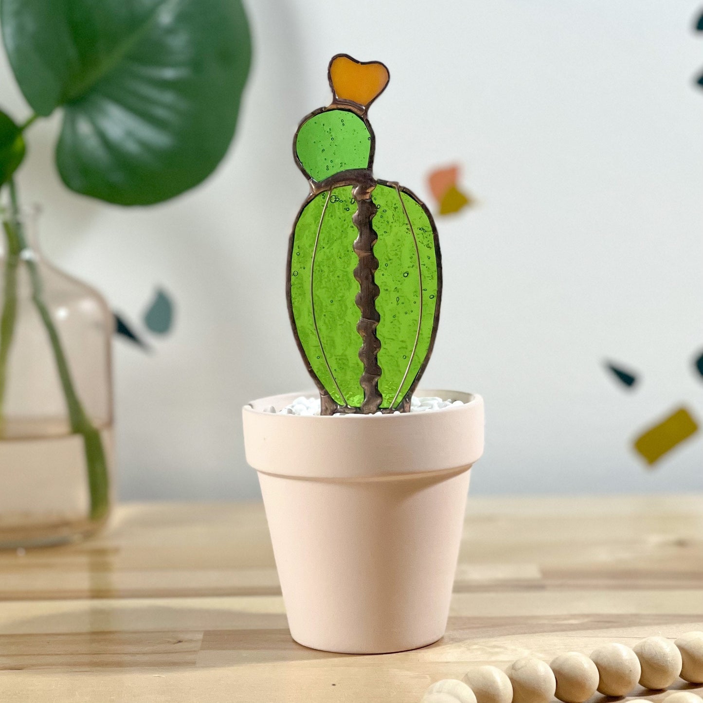 Baby Moon Glass Cactus