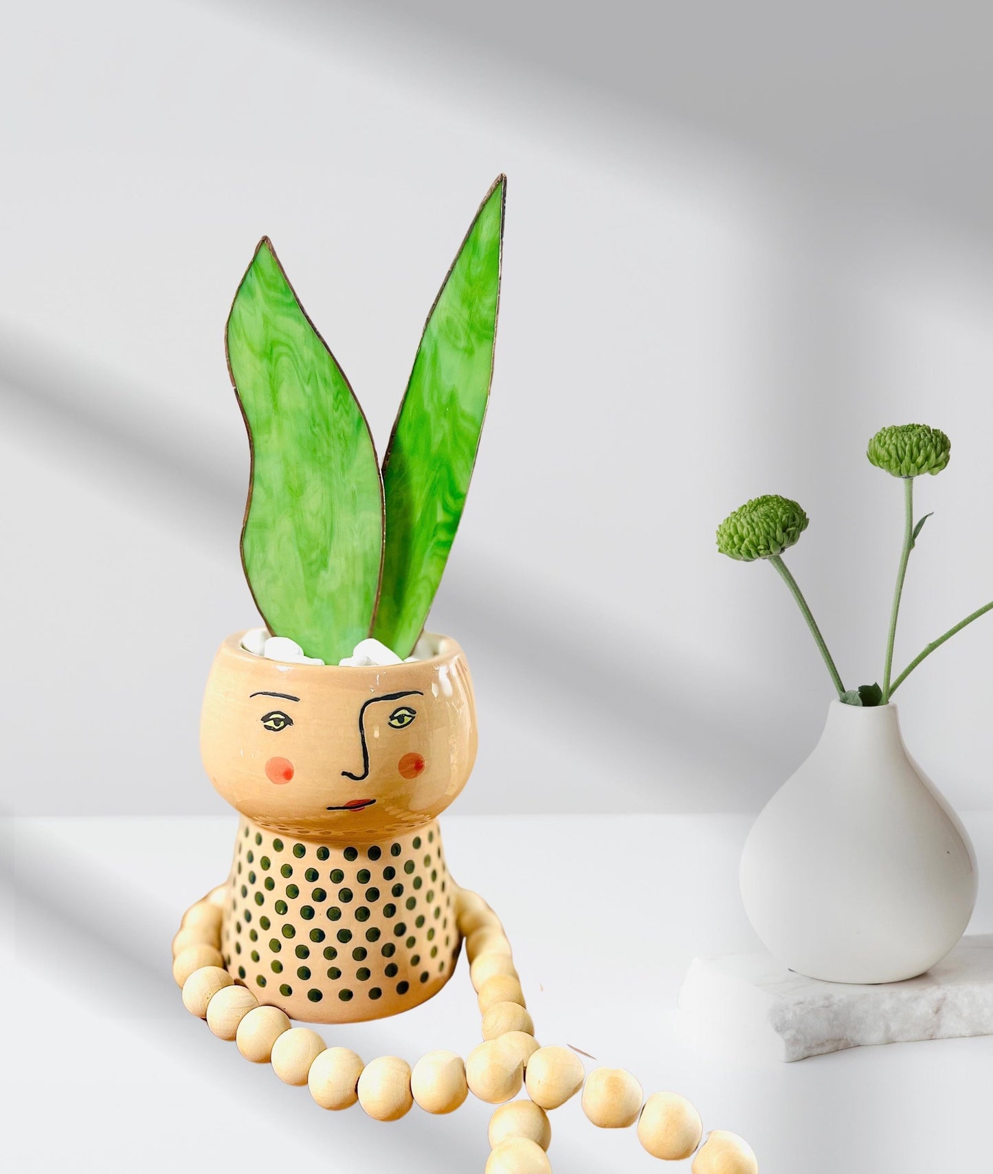 Baby Stained Glass Snake Plant