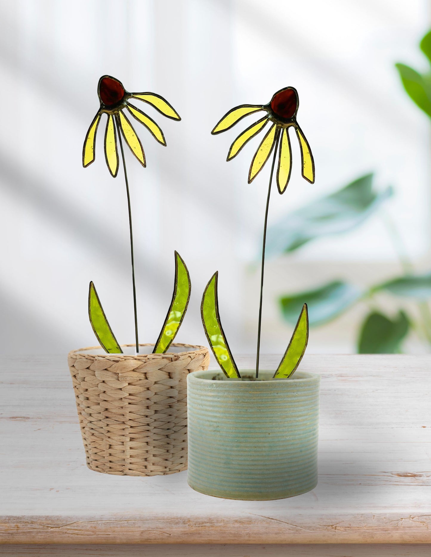 Black Eyed Susan Glass Stem