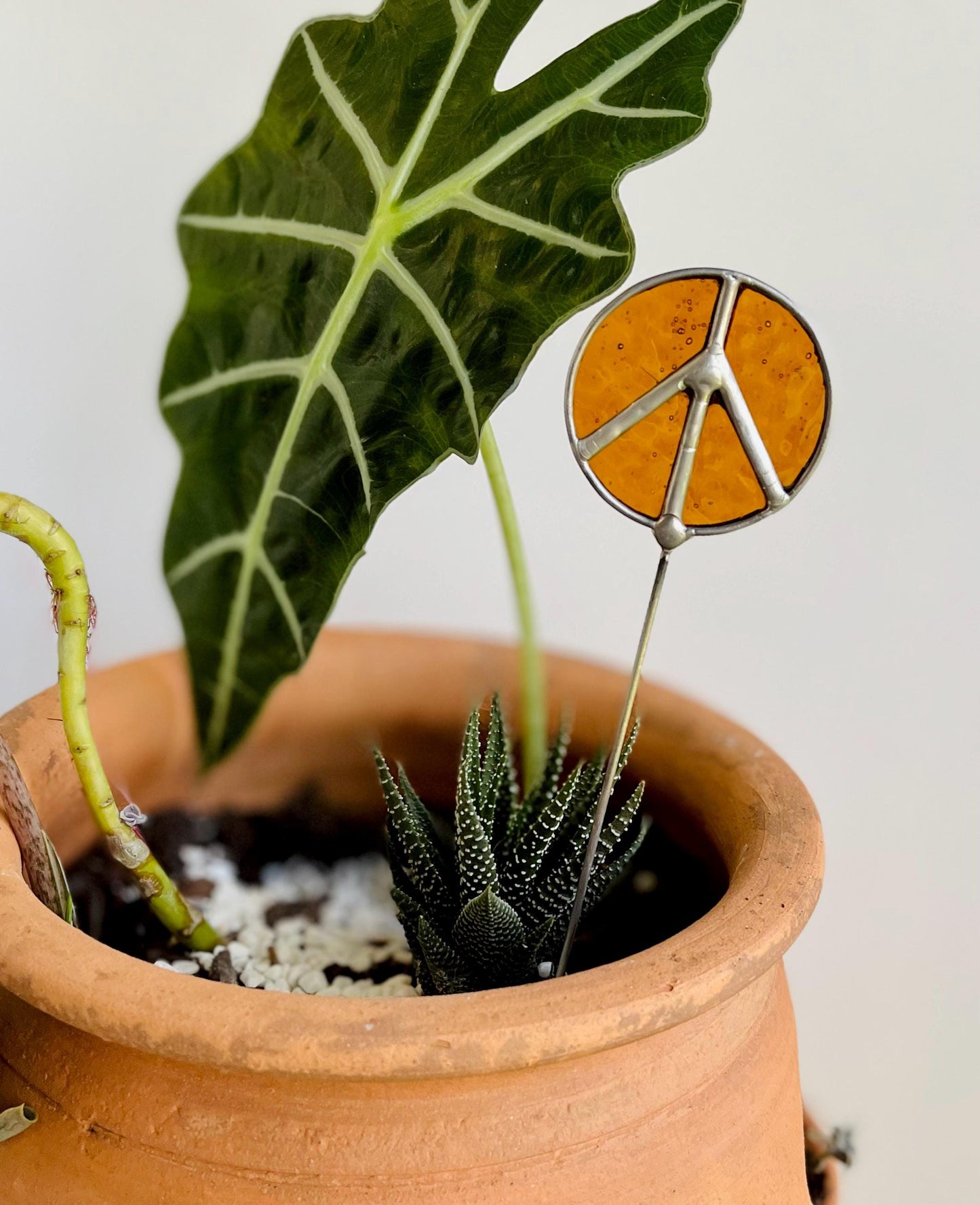 Autumn Container Garden