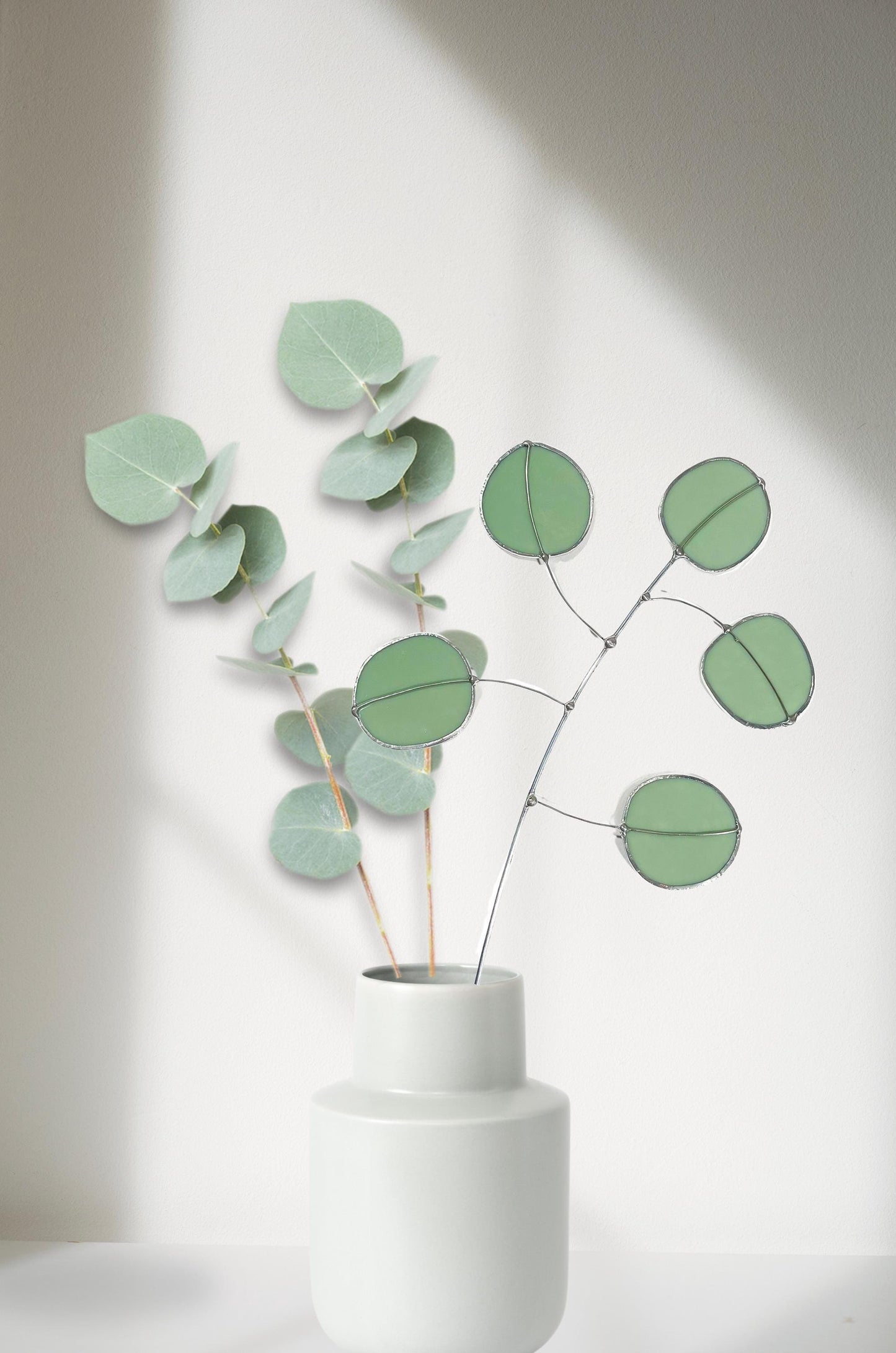Silver Dollar Eucalyptus Stem