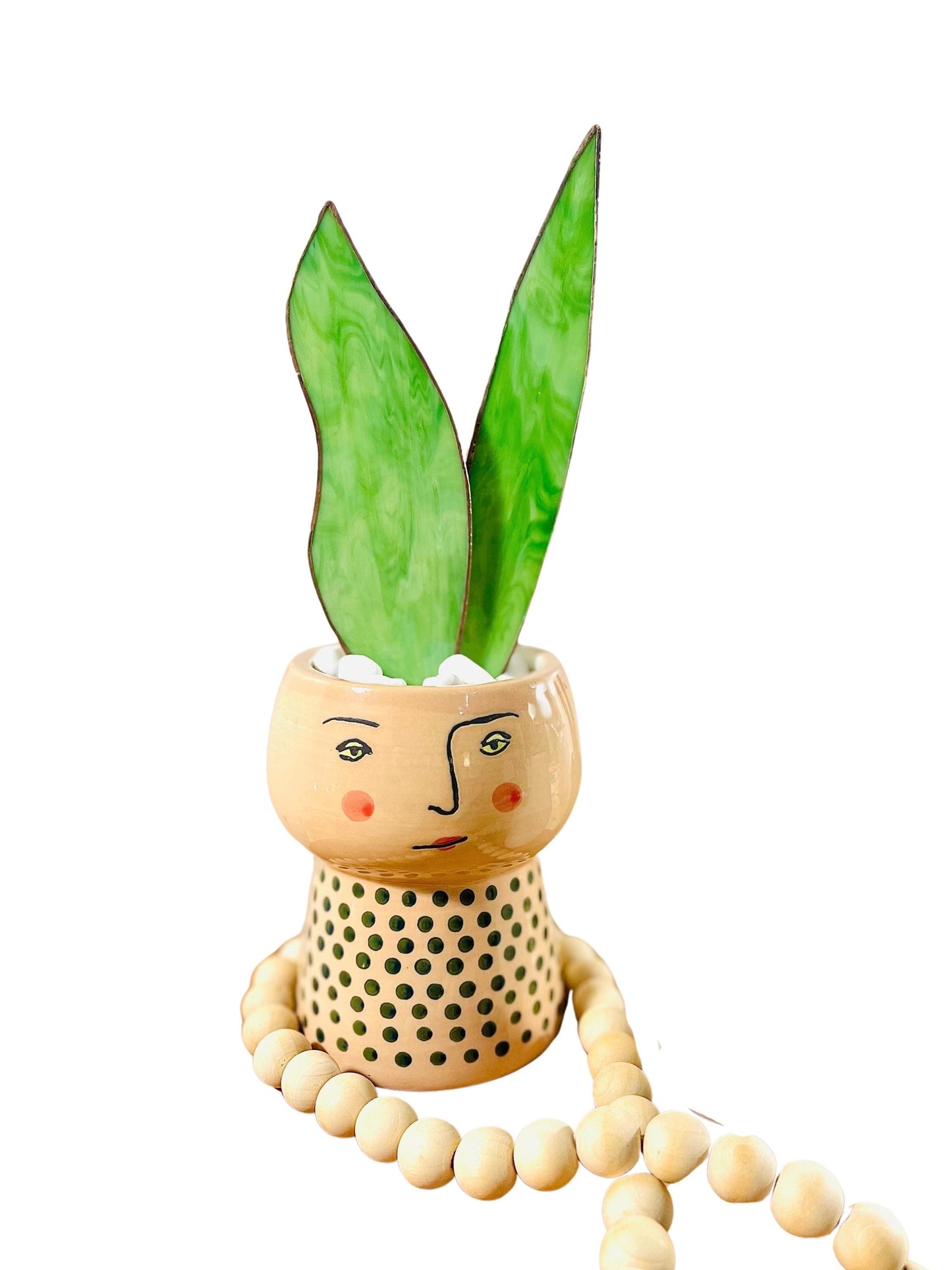 Baby Stained Glass Snake Plant