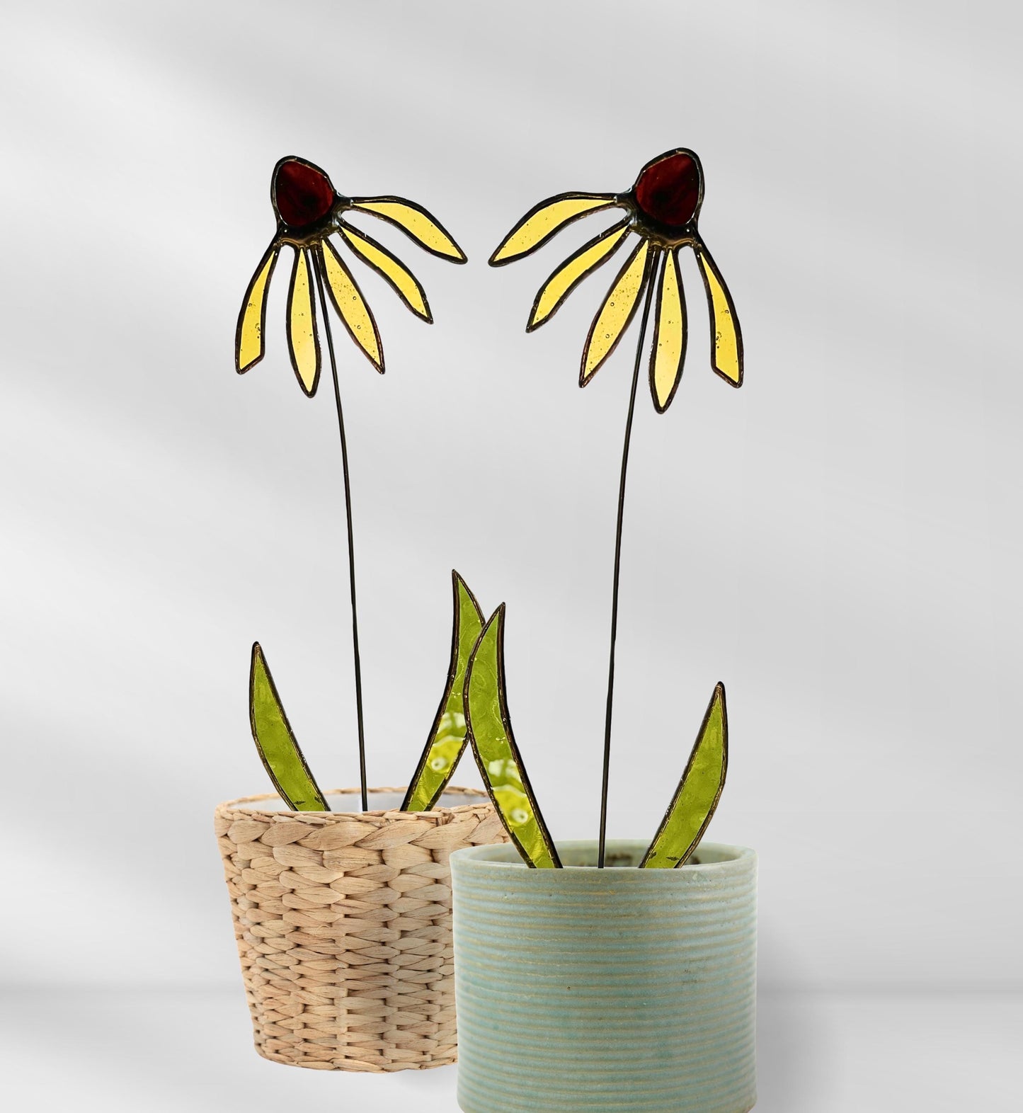 Black Eyed Susan Glass Stem