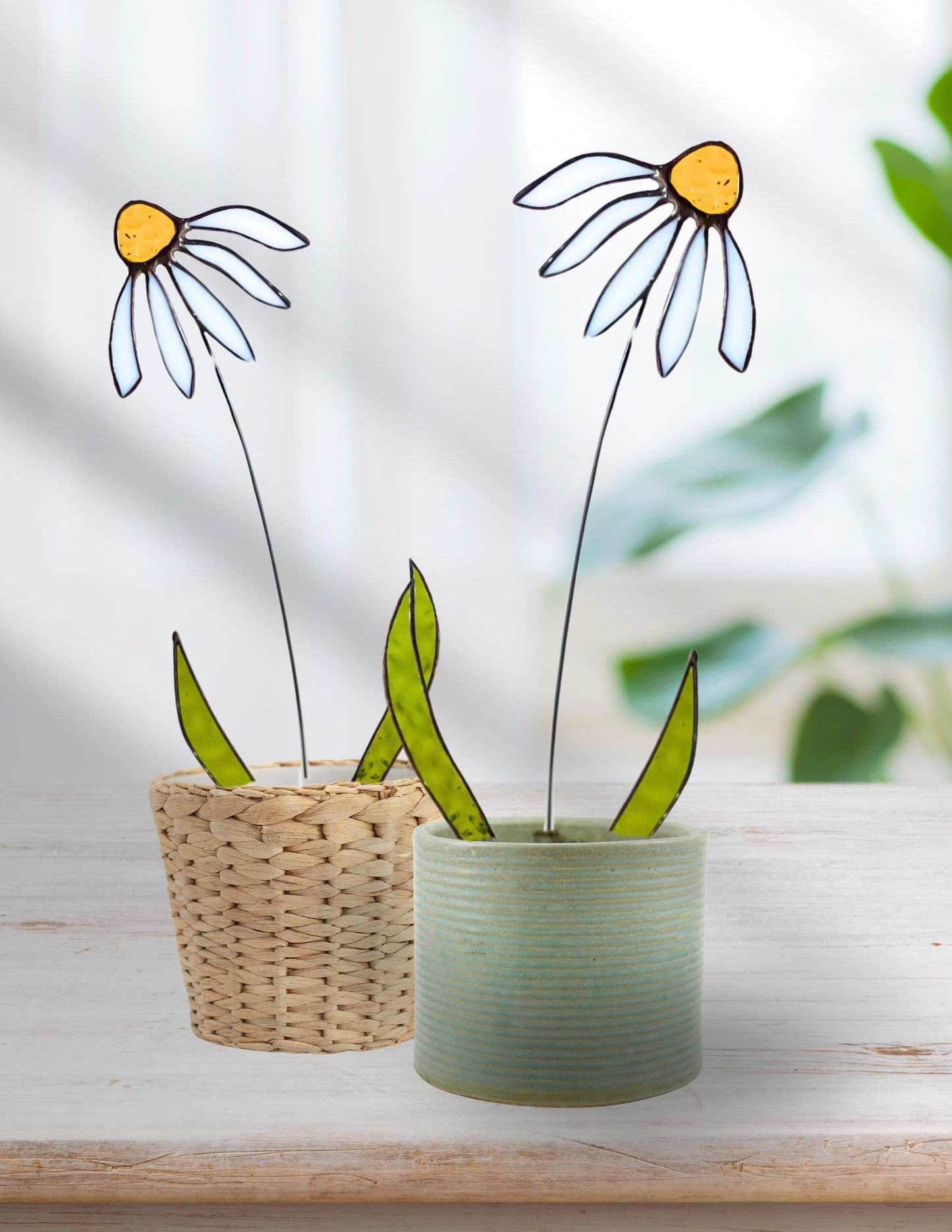 Glass White Daisy Stem