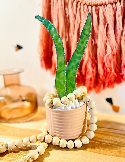 Baby Stained Glass Aloe Vera - Samara Designs Studio