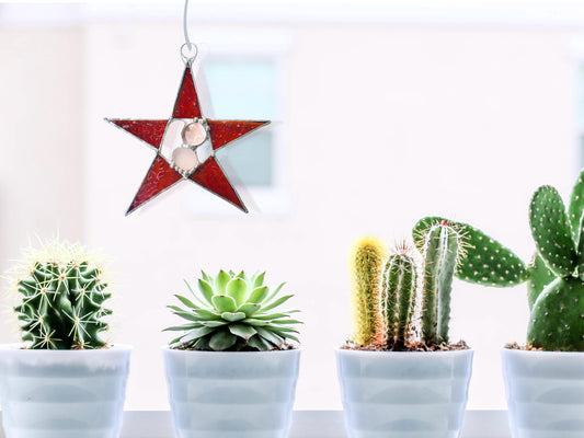 Dark Amber Wishing Star - Samara Designs Studio