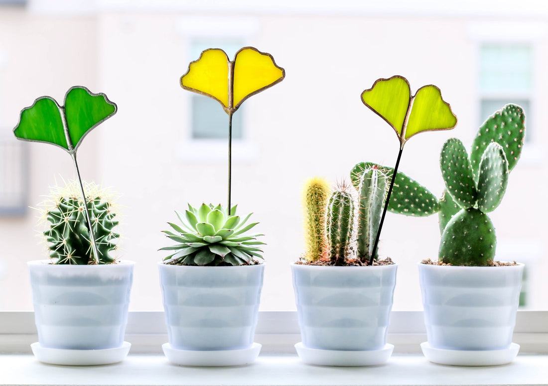Three glass gingko leaf plant stakes displayed in potted cacti on a windowseal