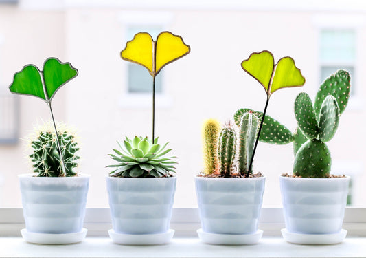 Three glass gingko leaf plant stakes displayed in potted cacti on a windowseal
