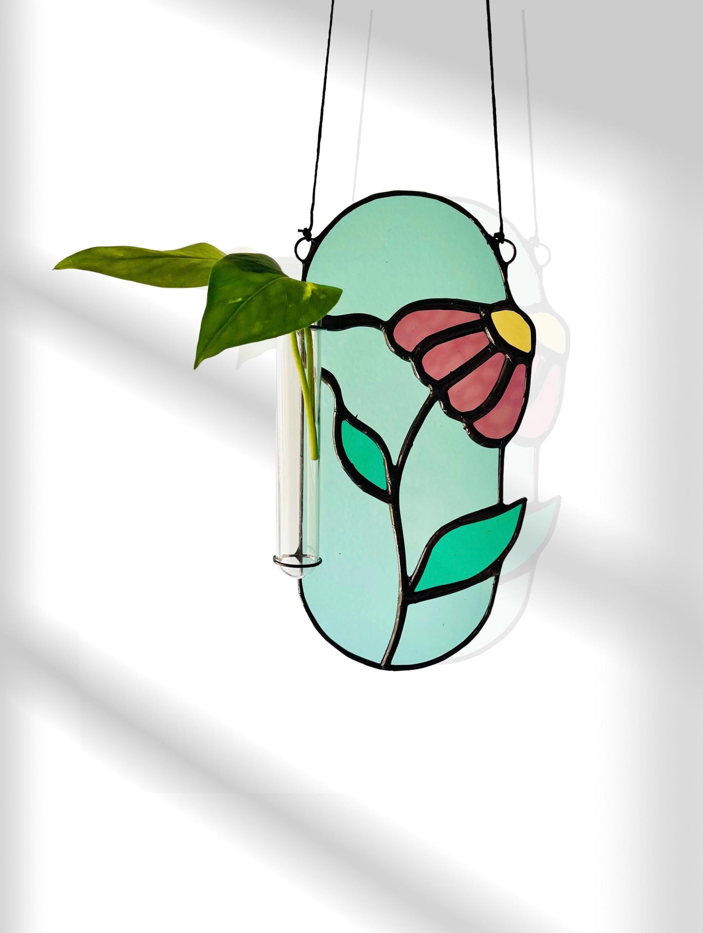 Stained Glass Coneflower Propagation Station