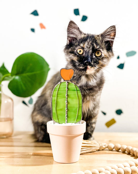Baby Barrel Glass Cactus