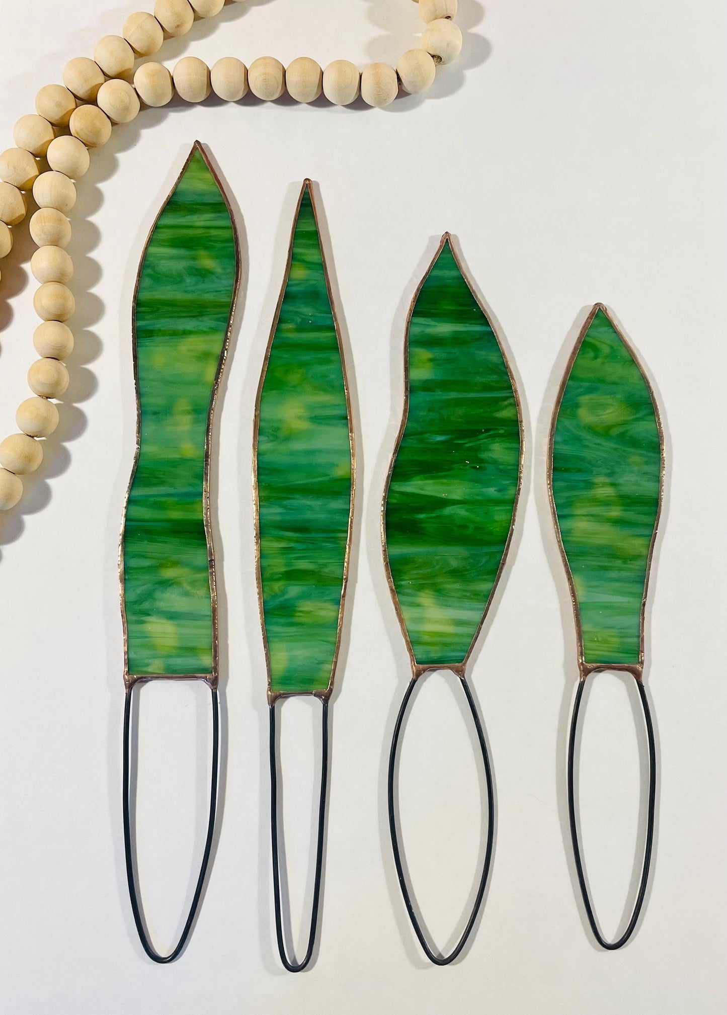 Stained Glass Snake Plant