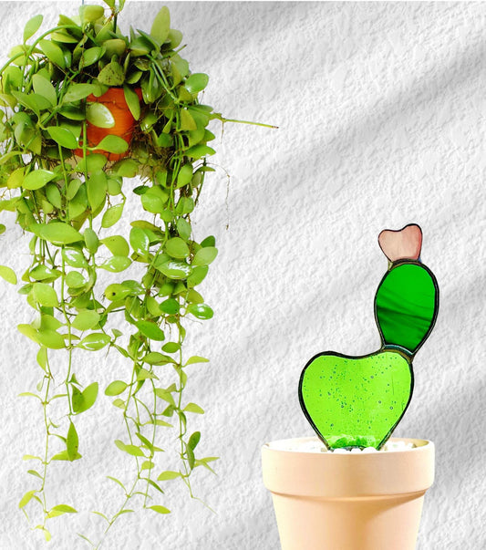Baby Prickly Pear Glass Cactus