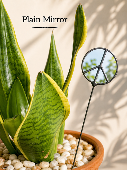 Mirror Peace Sign Plant Stakes – Plain or Antique Glass - Samara Designs Studio