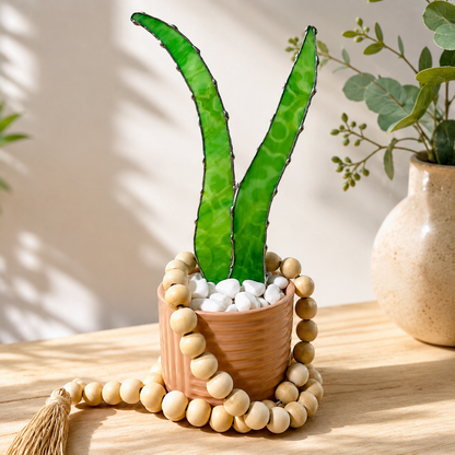 Baby Stained Glass Aloe Vera - Samara Designs Studio