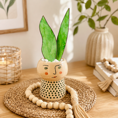 Baby Stained Glass Snake Plant - Samara Designs Studio