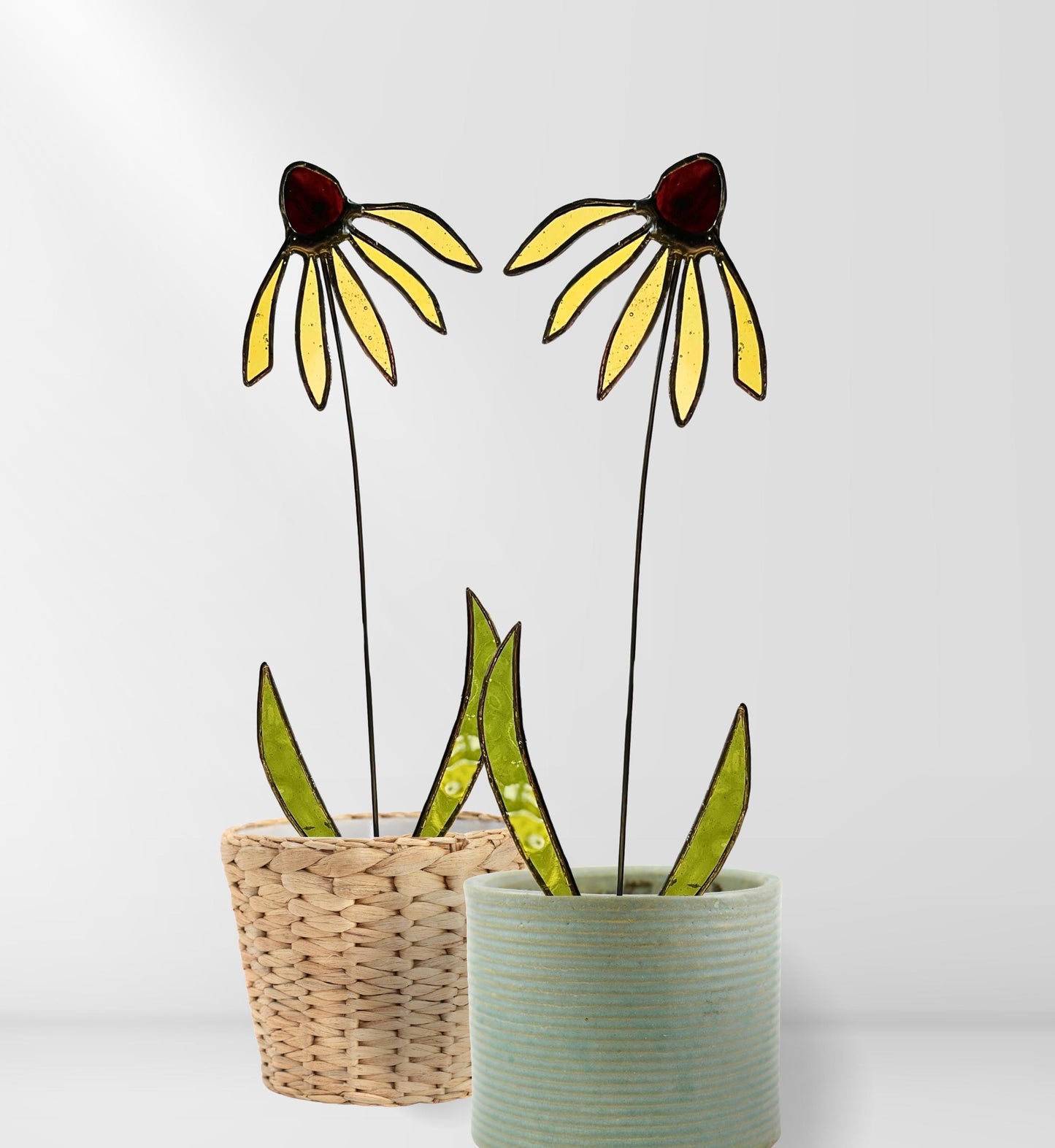 Black Eyed Susan Glass Stem