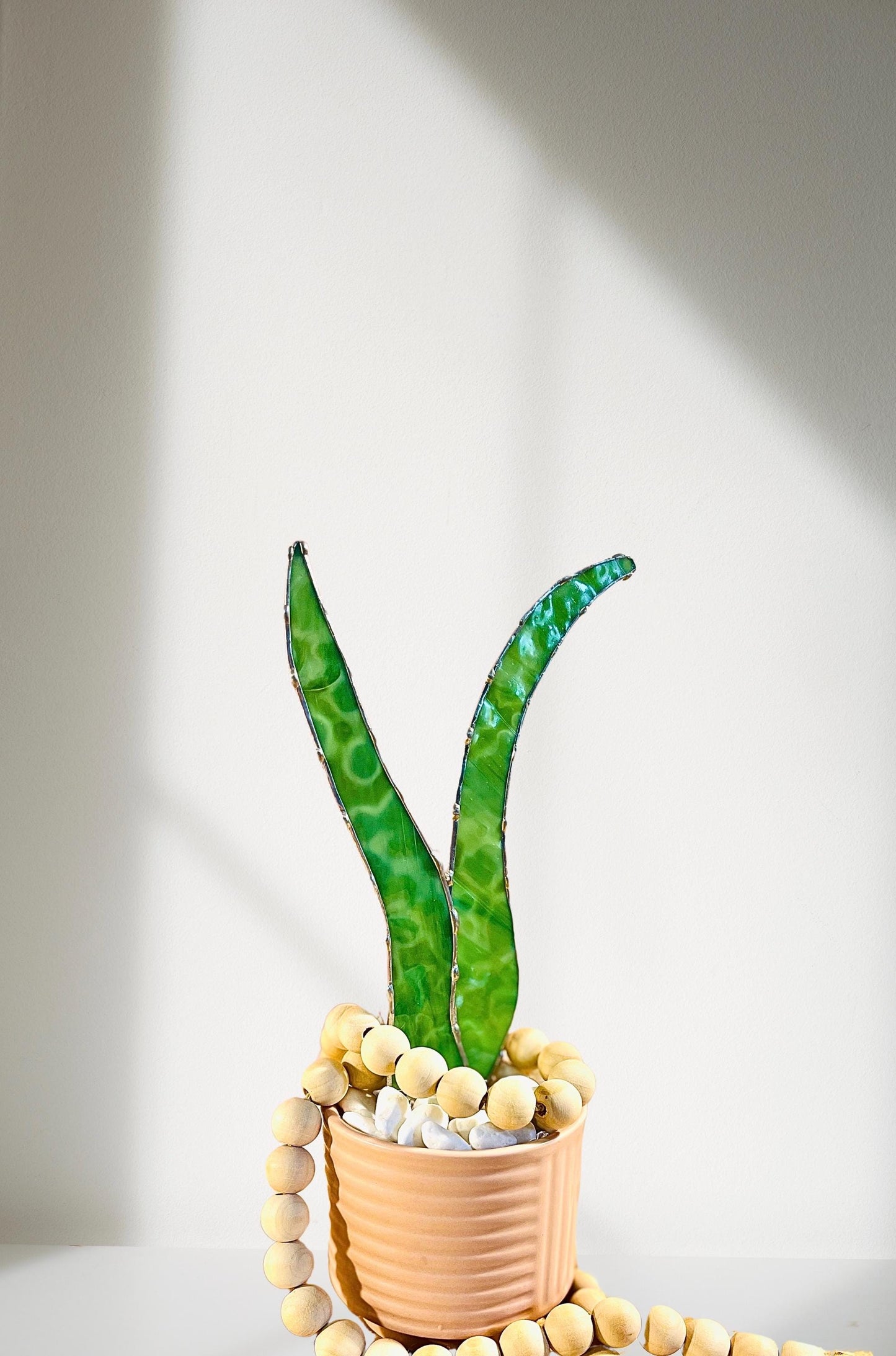 Baby Stained Glass Aloe Vera - Samara Designs Studio