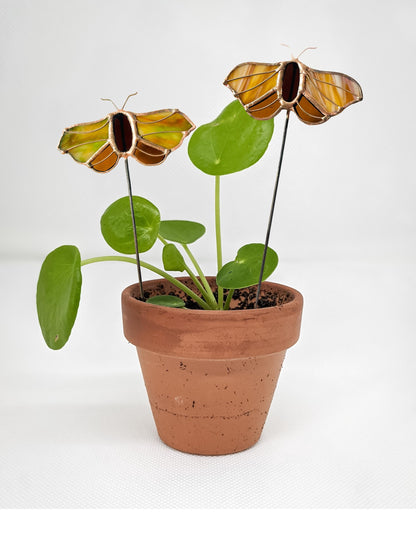 Stained Glass Moth Plant Stake - Samara Designs Studio