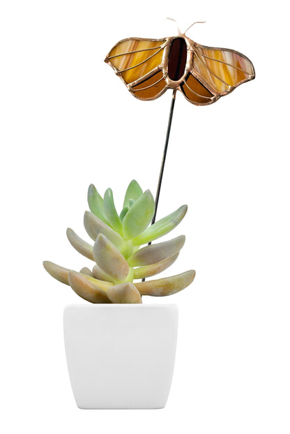 Stained Glass Moth Plant Stake - Samara Designs Studio