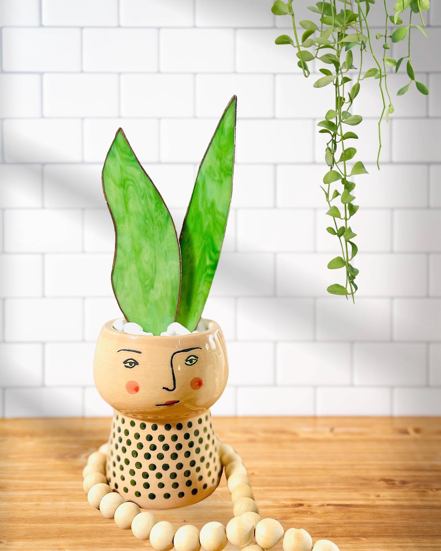 Baby Stained Glass Snake Plant - Samara Designs Studio