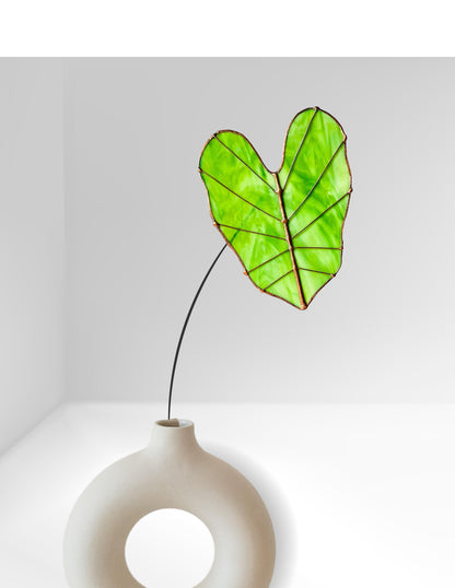 Giant Elephant Ear Stem - Samara Designs Studio