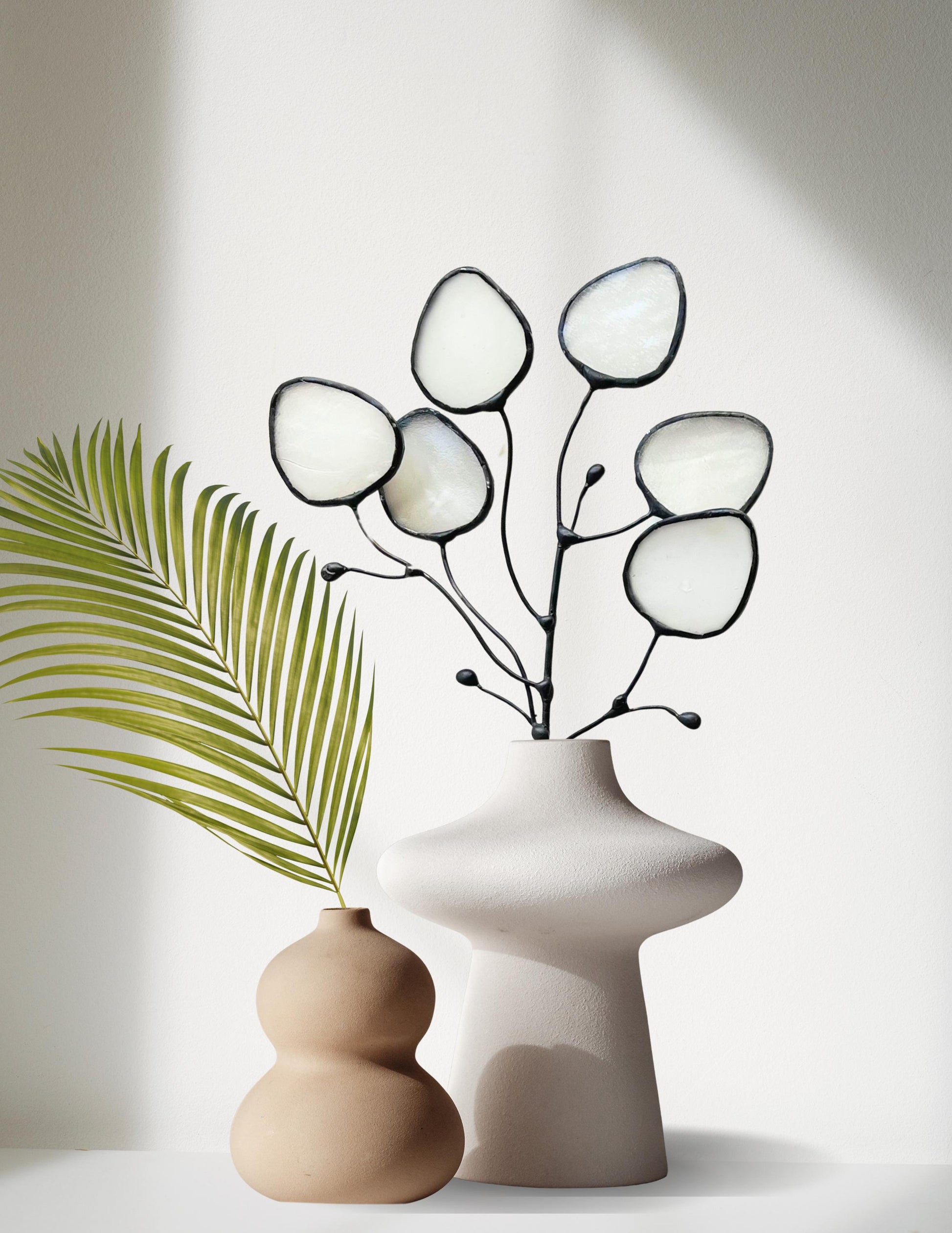 money plant seed pods Glass Money Plant Seed Pod Stem