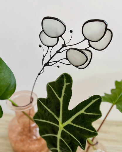 Glass Money Plant Seed Pod Stem - Samara Designs Studio