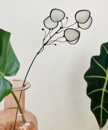 Glass Money Plant Seed Pod Stem - Samara Designs Studio