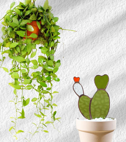 Baby Bunny Ear Glass Cactus - Samara Designs Studio