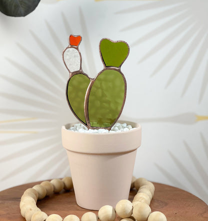 Baby Bunny Ear Glass Cactus - Samara Designs Studio