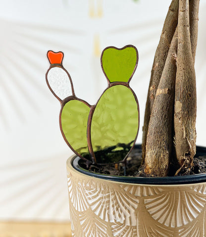 Baby Bunny Ear Glass Cactus - Samara Designs Studio