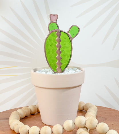 Mini Moon Glass Cactus - Samara Designs Studio