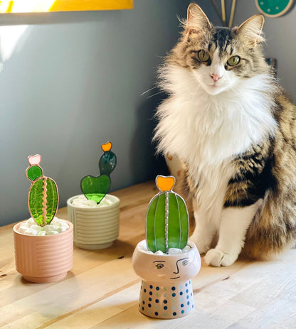 Baby Barrel Glass Cactus - Samara Designs Studio