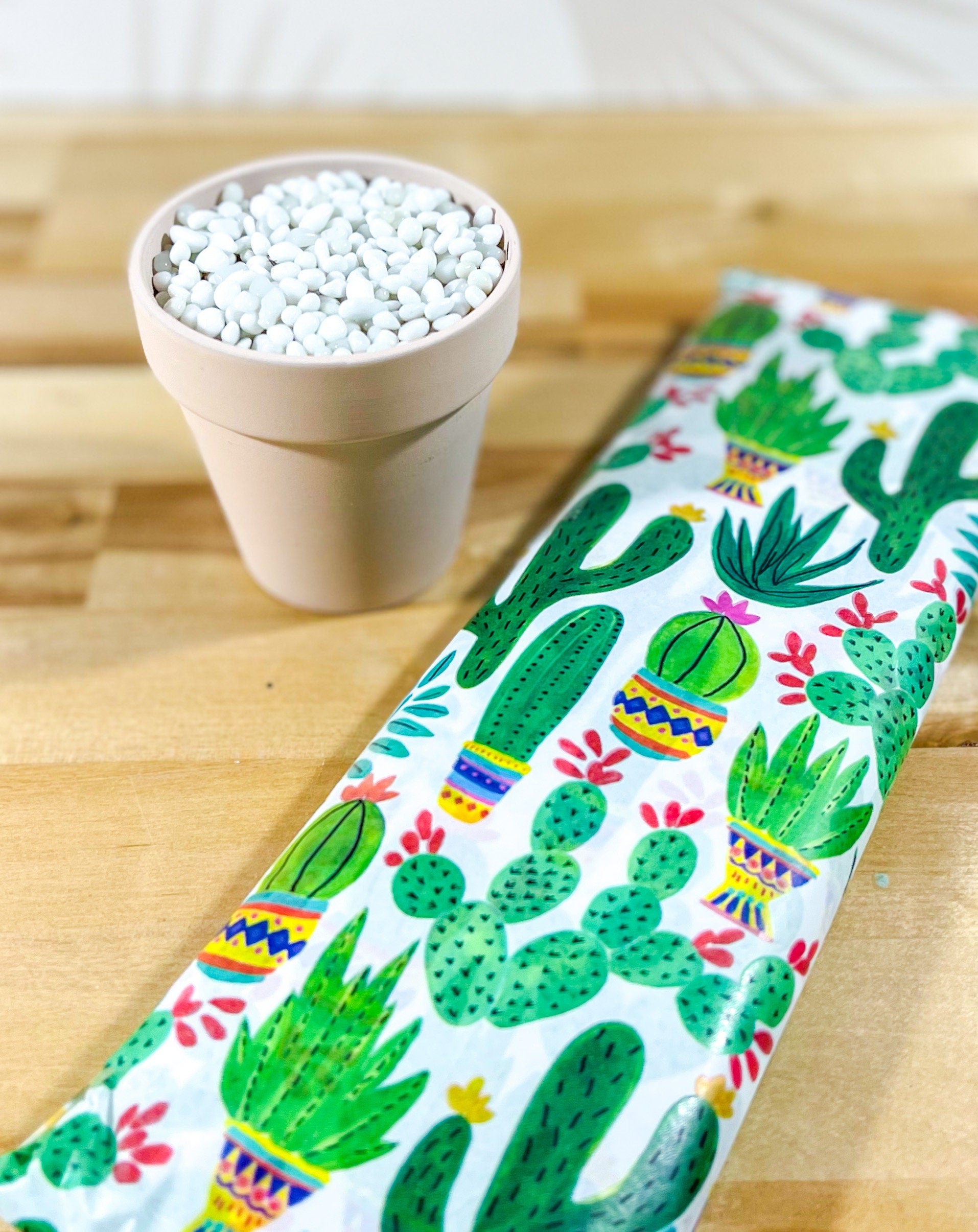 Baby Barrel Glass Cactus - Samara Designs Studio