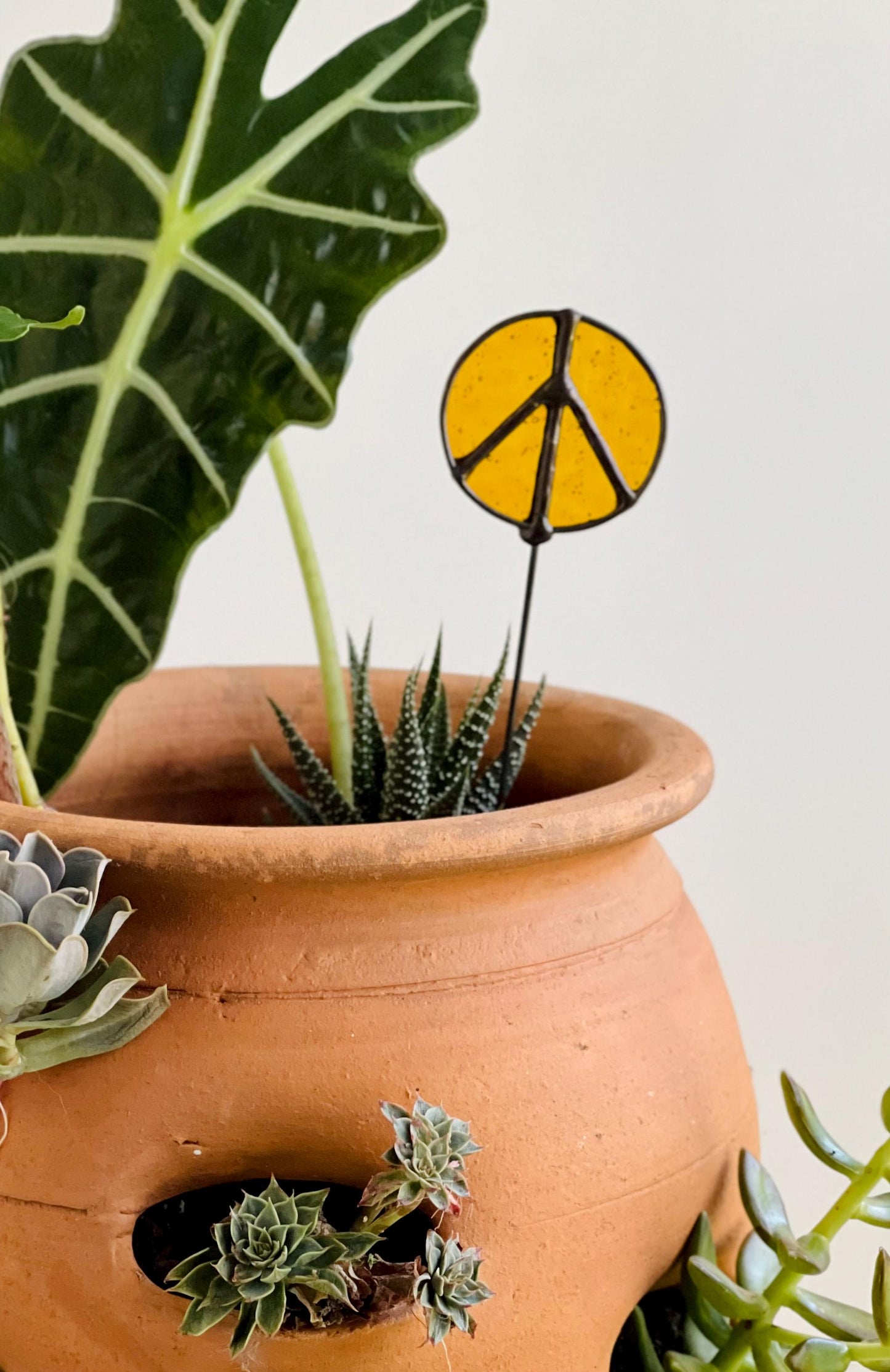 Autumn Container Garden - Samara Designs Studio