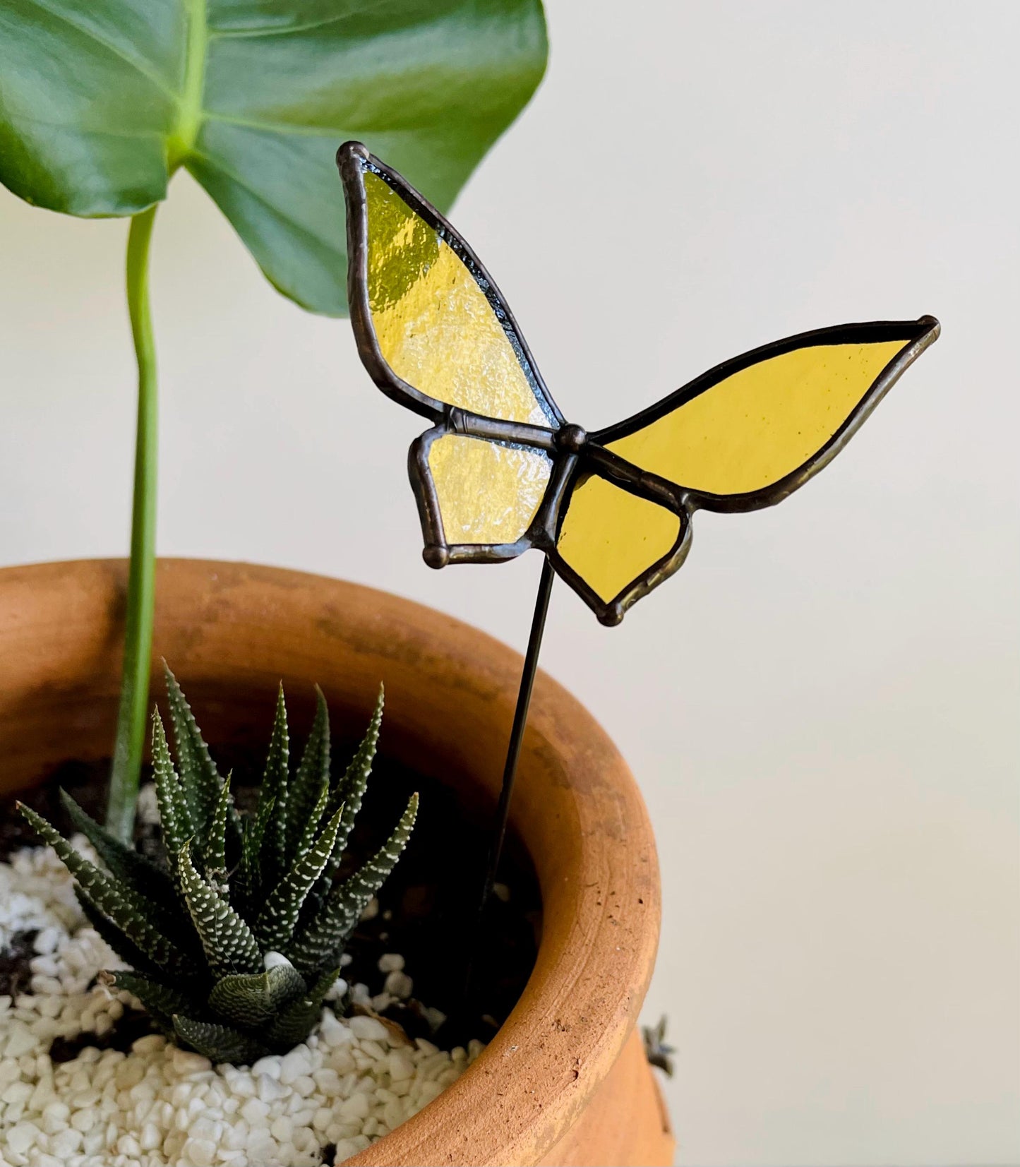 Autumn Container Garden - Samara Designs Studio