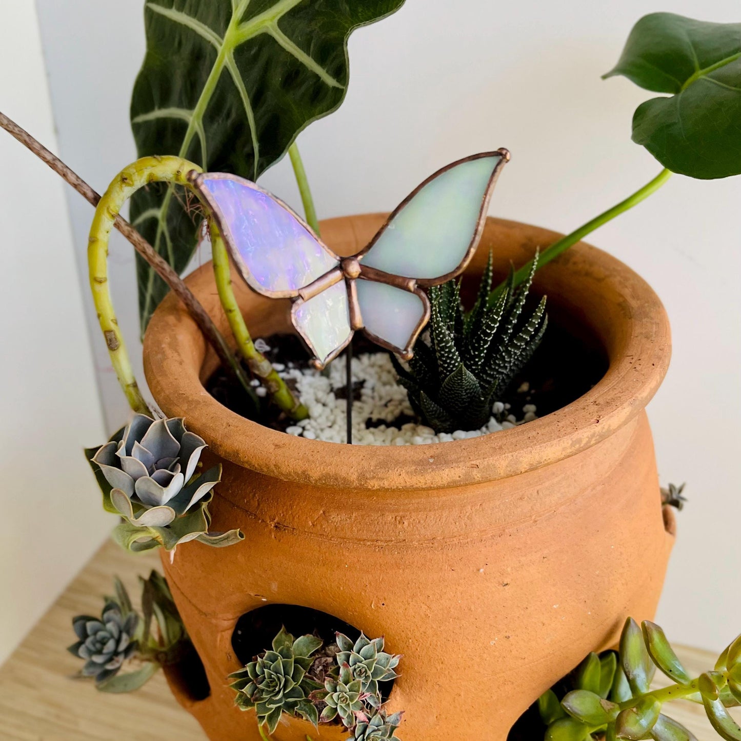 Autumn Container Garden - Samara Designs Studio