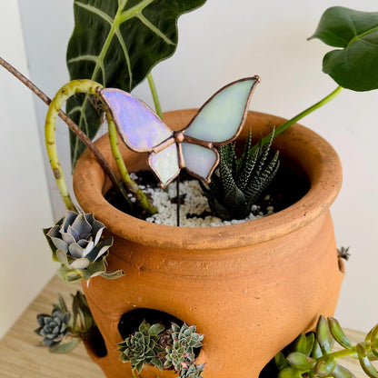 Autumn Container Garden - Samara Designs Studio