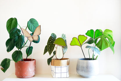 Glass Ginkgo Leaf Plant Stake - Samara Designs Studio